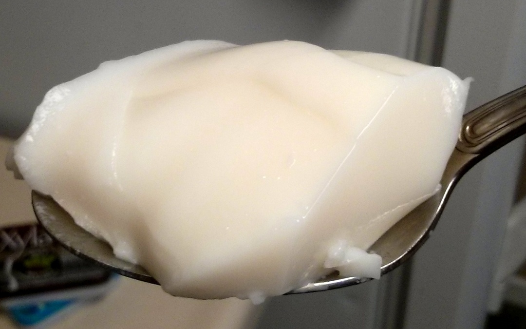 Probiotic Rich Foods – Raw Milk Yogurt